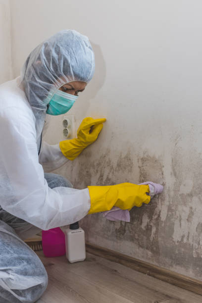 Best Emergency Mold Remediation  in Coopersburg, PA