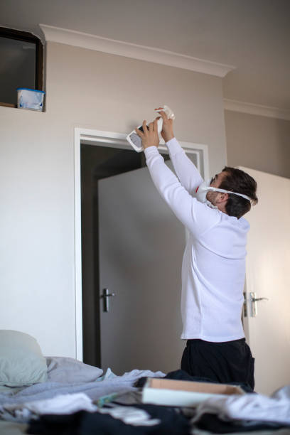 Best Asbestos and Lead Testing During Mold Inspection  in Coopersburg, PA